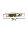 Navaja CASE PEACH SEED JIG MEDIUM TEXAS JACK Amber Bone CA00079