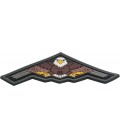 Parche Maxpedition B2 Bomber Eagle Patch Color