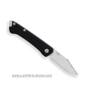 Buck SAUNTER Folder Clip Micarta 250BKS1